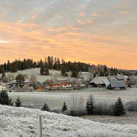 Helle Gemuetliche Ferienwohnung In Schwarzwaldhof Ibach Exterior foto