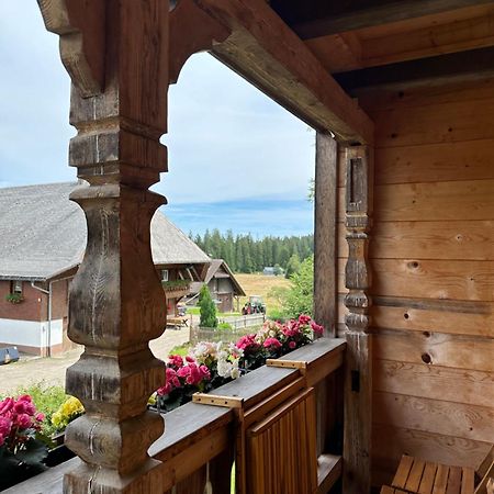 Helle Gemuetliche Ferienwohnung In Schwarzwaldhof Ibach Exterior foto