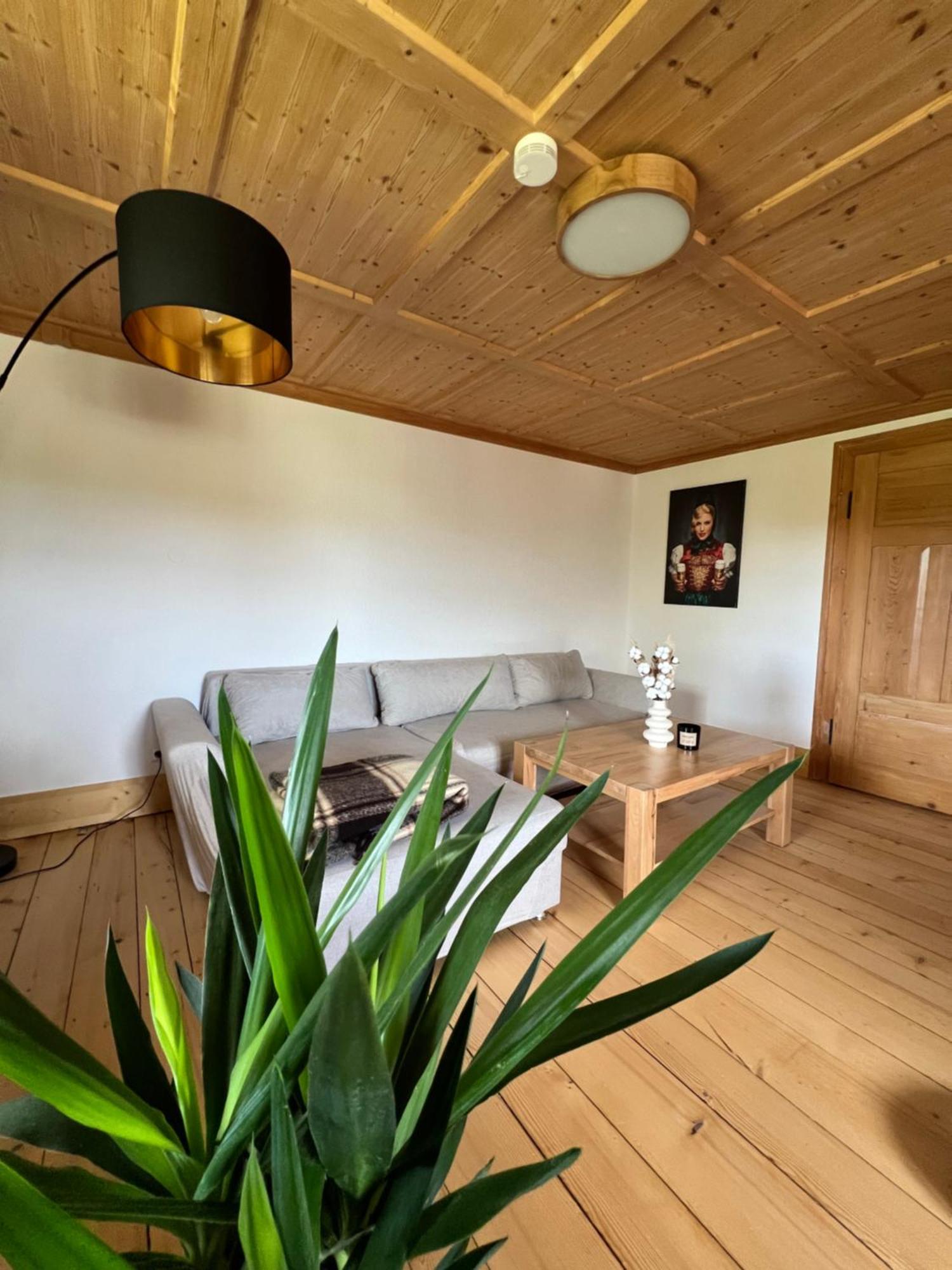 Helle Gemuetliche Ferienwohnung In Schwarzwaldhof Ibach Exterior foto
